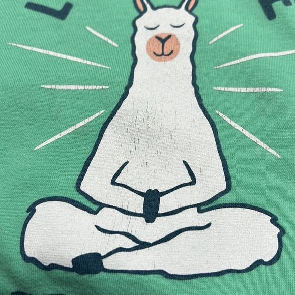 Life Is Good Namastay Llamastay 6 Feet Apart Llama Teal T Shirt Sz M EUC - Picture 5 of 9